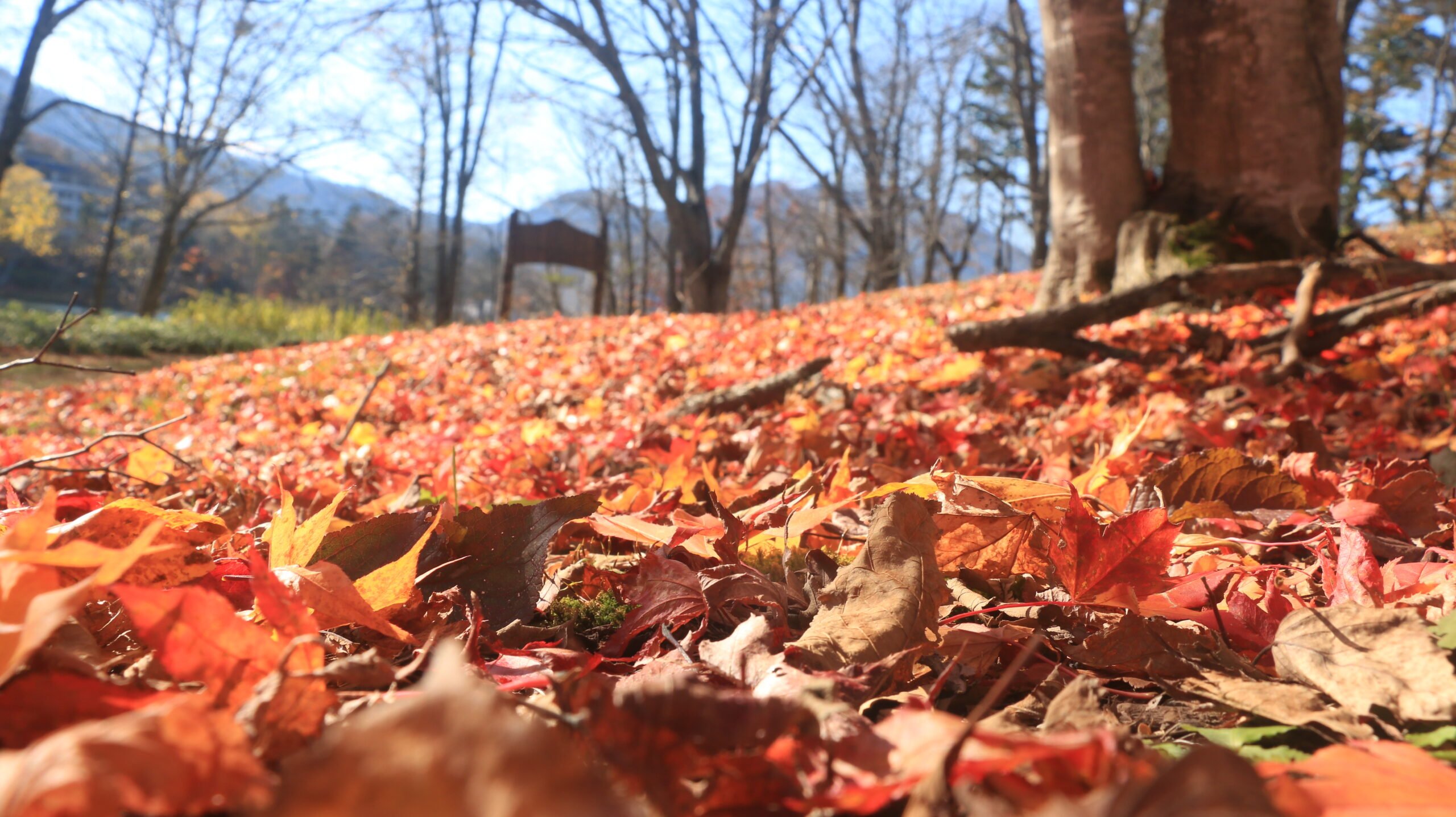 ♨️ 끓는 진흙 화산(봇케) 이미지 9